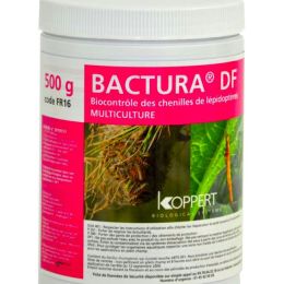 BACTURA DF BOITE 500GR